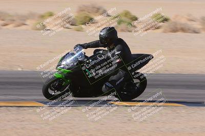 media/Dec-10-2023-SoCal Trackdays (Sun) [[0ce70f5433]]/Turn 9 Inside Set 2 (1115am)/